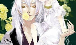 什么动漫好看,揭秘那些让人欲罢不能的动漫神作