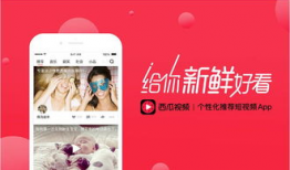 吃瓜爆料视频素材网易,网易视频素材背后的故事